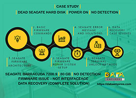 seagate firmware case study 80 gb no interface age